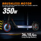 350W Electric Scooter, 36v-10.4Ah - 30km Range, Solid Tires, App Control, Disc Brakes, IP54 Water Resistant