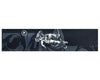 Root Industries - Grip Tape - Koala